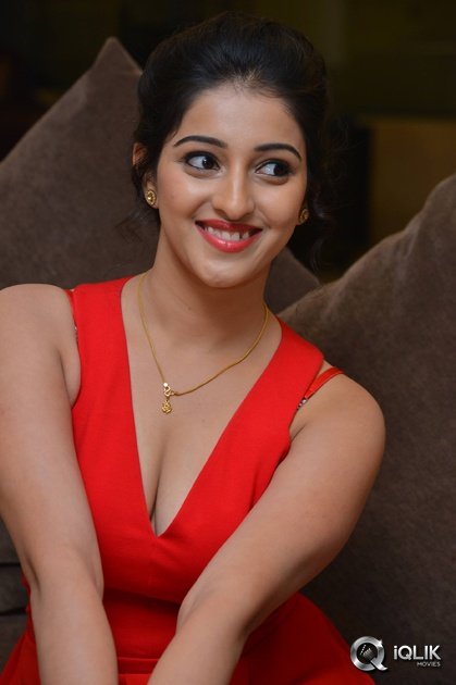 Mouryani-At-Intlo-Dayyam-Nakem-Bhayyam-Movie-Trailer-Launch